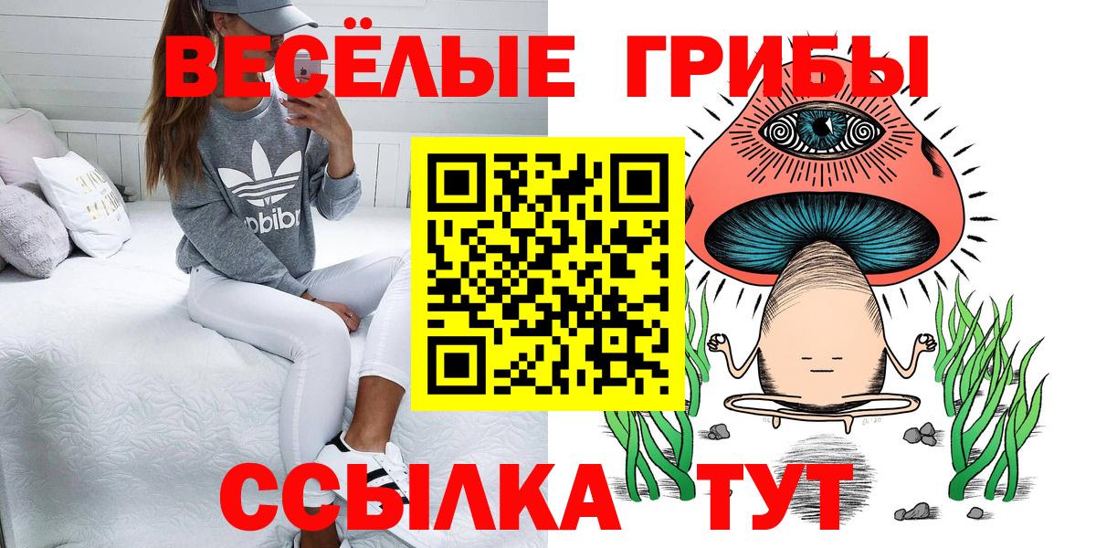 Галлюциногенные грибы GOLDEN TEACHER Щёлково