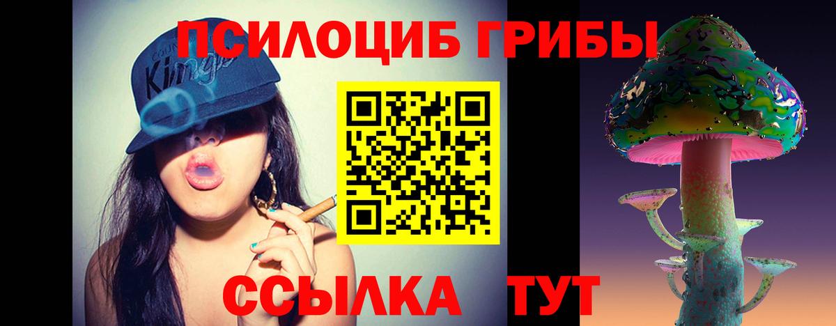 Галлюциногенные грибы Cubensis  Псилоцибиновые грибы мухоморы  Щёлково  Вход с VPN 